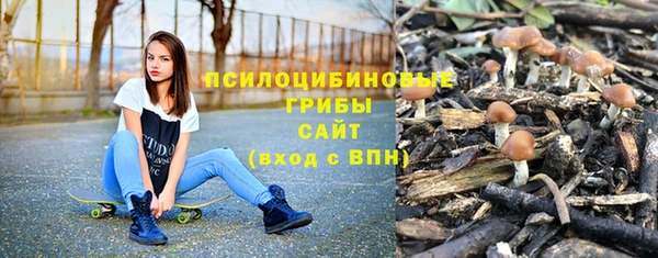 эйфоретик Каменногорск