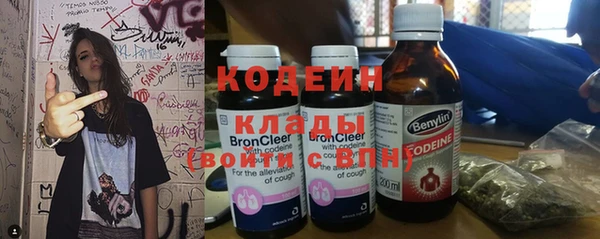 соль ск Каменка