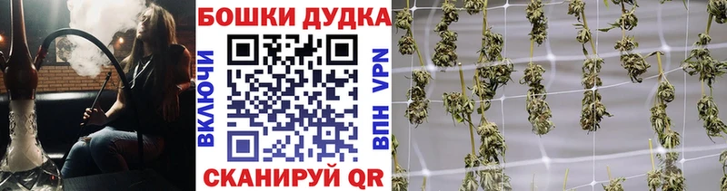 Купить где  Дагестанские Огни  Канабис Bruce Banner 